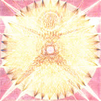 бардовые соцветья рябины в ореоле солнца